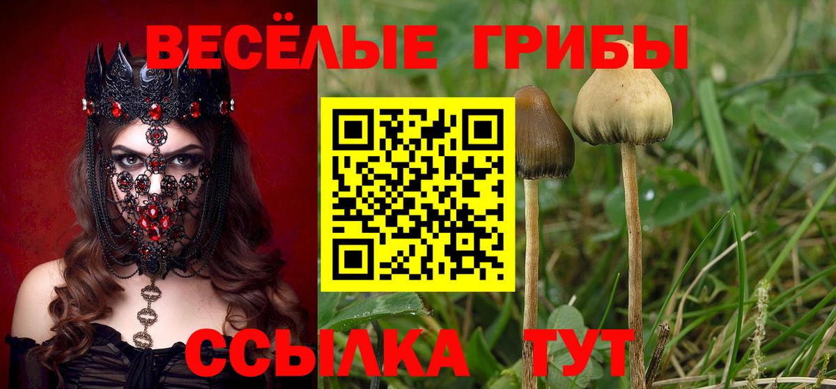 Балашиха  Псилоцибиновые грибы ЛСД  Вход с VPN 